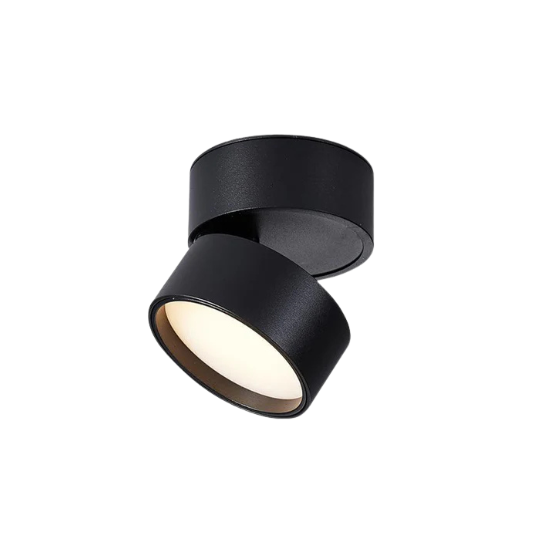 Flex — Adjustable LED Ceiling Light