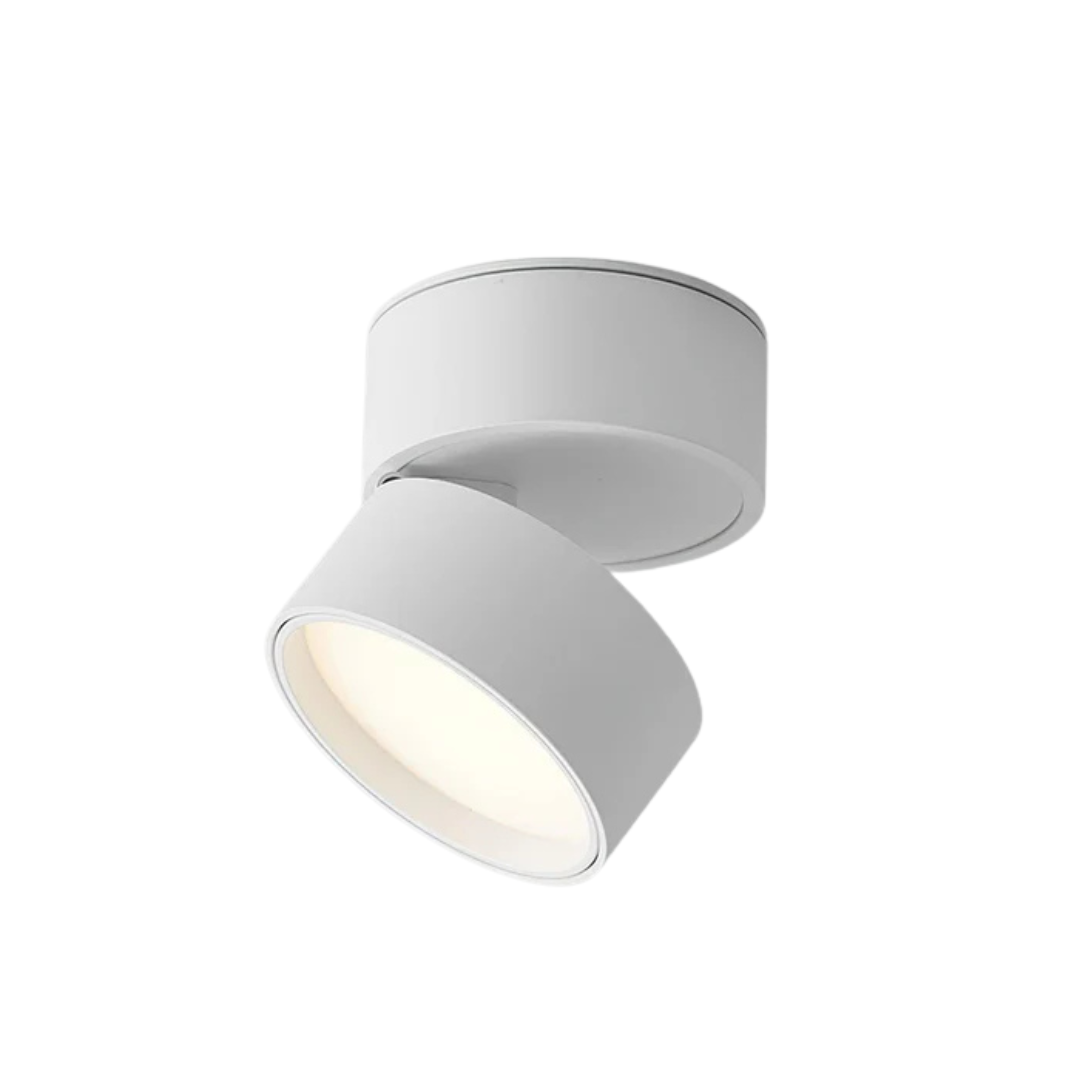 Flex — Adjustable LED Ceiling Light
