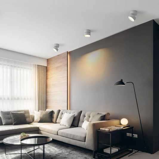Flex — Adjustable LED Ceiling Light
