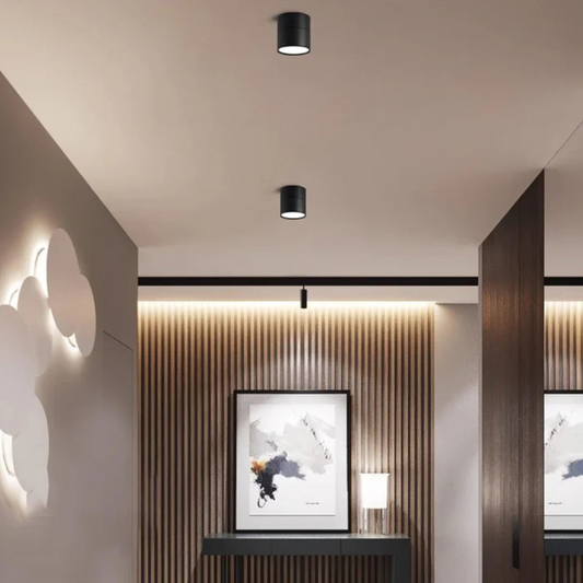 Flex — Adjustable LED Ceiling Light